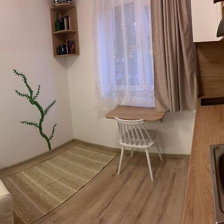 Mimosa Studio Cluj-Napoca Buitenkant foto