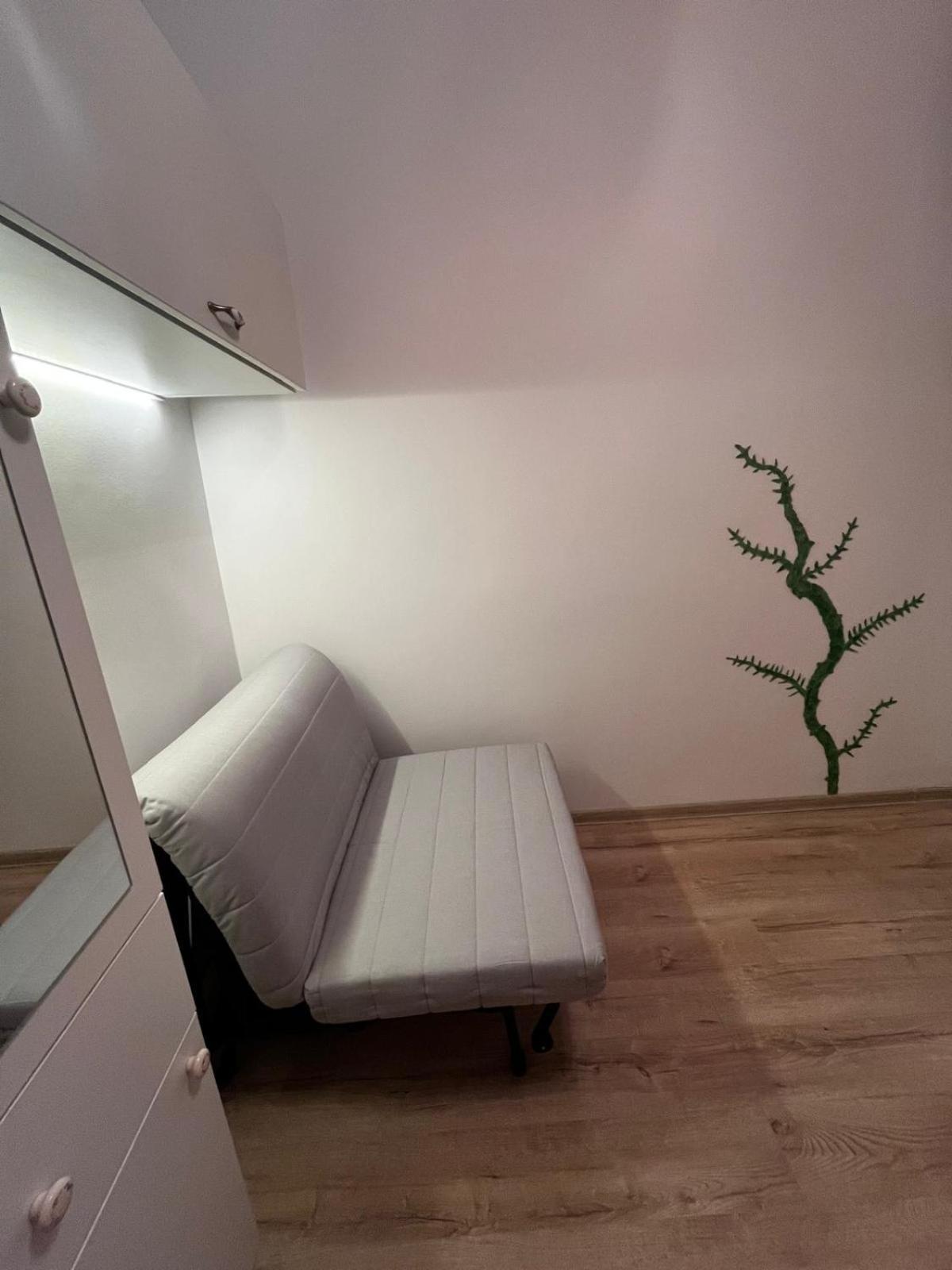 Mimosa Studio Cluj-Napoca Buitenkant foto